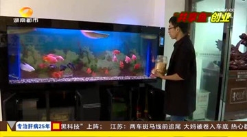 90后大学生另类创业 “共享鱼”年赚几十万