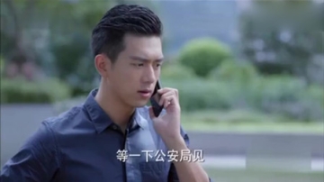 南方有乔木大结局，陈伟霆深情告白秦海璐