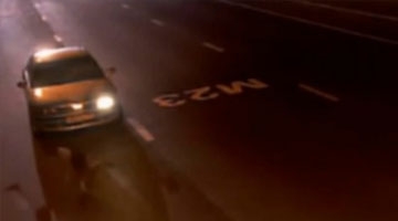 实拍狼群跑上高速公路 交警快速躲进车里逃过一劫