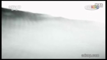 沙漠绿洲中国梦高清公益广告