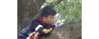 9岁男孩翻唱《我是一只小小鸟》
