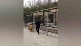 爆笑恶搞，最欠揍的街头恶搞妹子，太逗了，看完不笑算你狠