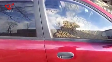 实拍男子往妻子爱车里灌满混凝土 这是有多大的仇？