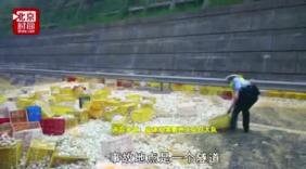 十万多个鸭蛋碎满地