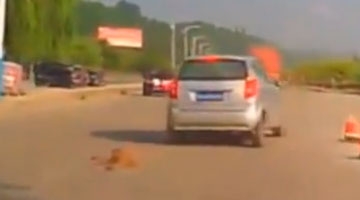 残忍!司机拖着金毛疯狂行驶 狗狗死亡仍未放弃暴行