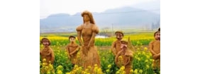 【拍客】浙江油菜花田里现造型“奇葩”稻草人