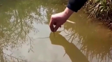 高手在民间，这样的钓鱼方式还是第一次见，兄弟给那些钓鱼人留点面子吧！