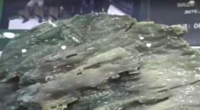 小伙发现2.5亿年前枯木 洗干净像翡翠却比翡翠贵千倍