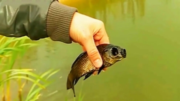 可乐瓶上插了三根吸管，真是个创意的想法，让人佩服