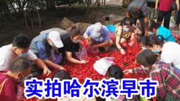 实拍哈尔滨早市，很多人蹲在地上挑什么呢？