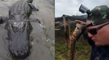 美男子近身挑衅3米长巨鳄 称我在训练它