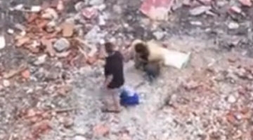 实拍两男子连拍13砖虐杀泰迪犬 尖刀剥皮吃狗肉