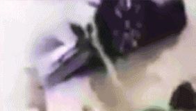 情侣雨中驾车坠河身亡吓死路人