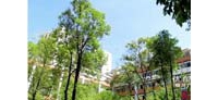 【拍客】实现伟大中国梦建设美丽广元幸福家园