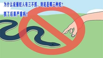 为什么说捕蛇人有三不抓，到底是哪三种蛇？抓了后果严重吗