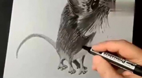 牛人现场展示画老鼠绝活，转换角度一看服了