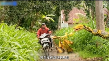 用巨大的假蟒蛇恶搞路人，简直是太刺激了！