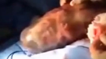 新生宝宝从胎膜里蹦出来 第一次呼吸的画面全程被录下