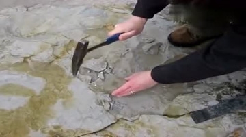 男子海边发现地面异样