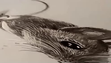 牛人现场展示画老鼠绝活，转换角度一看服了