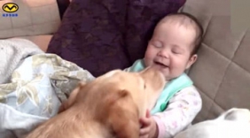 看狗狗亲小萌宝的时候萌娃多可爱！好开心的笑着