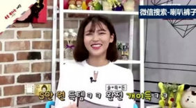 搞笑恶搞谈话类节目