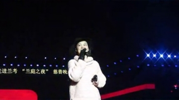 【拍客】周艳鸿兰考助演“兰庭之夜”大型慈善晚会现场互动气氛热烈