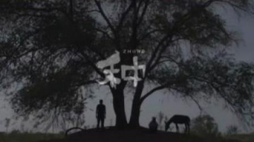 #种树也能C位出道 三个关于树的暖心故事，表达的都是对公益的热心。每一棵树都来自你的“相信”。