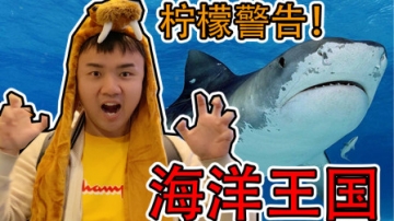 【vlog】海 洋 王 国 大 探 险！