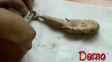 美人鱼 真正的奇闻真事 发生在眼前