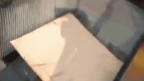 重庆北碚再现“电梯吞人 维修工被卷入