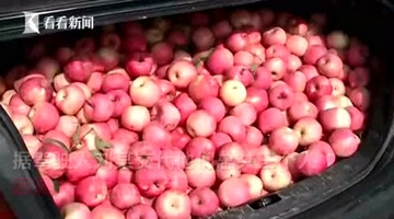 3名男子趁大雾下高速偷480斤苹果 惊呆了民警