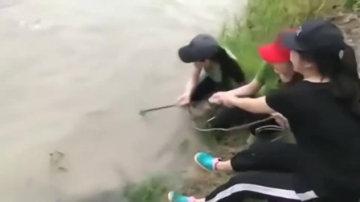 捕鱼实拍：小姐姐野外捕鱼，这家伙不是一般大，一发力直接把小姐姐拉下鱼塘