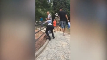 北京动物园游客为让老虎活动拿石头砸老虎