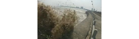 全程实拍八月十八钱塘江大潮奇观
