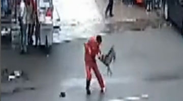 监拍恶犬街头咬住路人手臂不松口 已连续咬伤23人