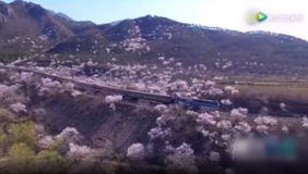 北京居庸关长城附近 那趟开往春天的列车来了