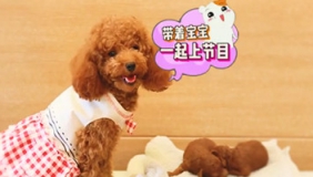 胖成球了你还好意思吃