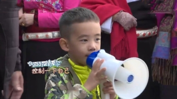 Jasper吃醋向陈小春摊牌，大喊：你太喜欢小泡芙了！萌娃吃醋片段