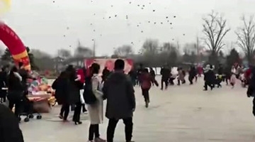 真正的红包雨！景区上空惊现无人机狂撒红包