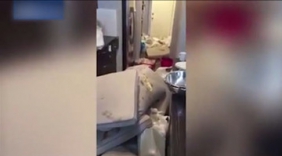 房子出租3周后变垃圾场 房东没挣钱还赔了8万