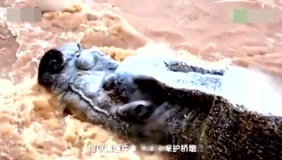 河道取沙挖出地下“龙宫”，吓坏当地村民