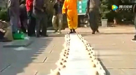 如履薄冰！牛人有绝活108颗鸡蛋上行走