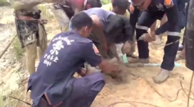 河里撒网捕鱼 没等拉上岸水中便出现个恐怖物