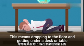 2分钟教你地震时提高存活率：趴下藏好不要动