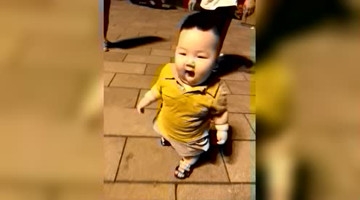 可爱小肉球视察广场舞，萌翻了路人