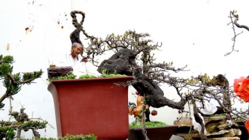 四川省成都市温江区花卉市场