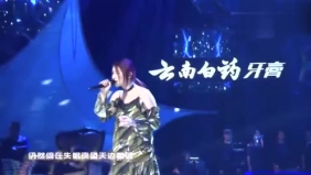 女声版《月半小夜曲》，非常好听！