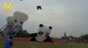 “世界最大”风筝亮相 有7个篮球场大