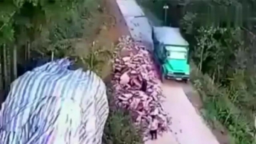 监控实拍：大货车明明可以避免死亡, 司机却不知死活硬闯, 悲剧了